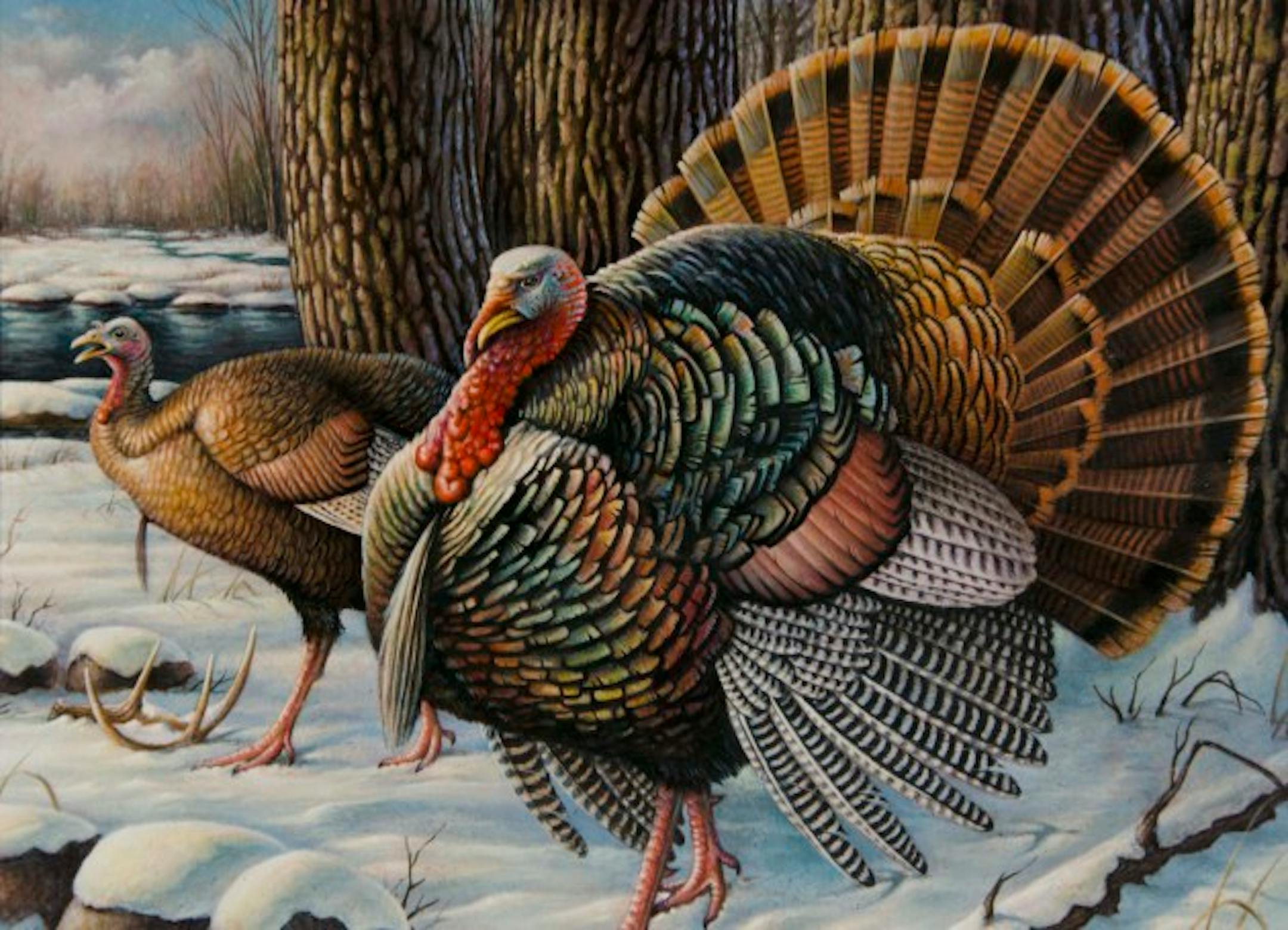 2016 Turkey Stamp Artwork Competition