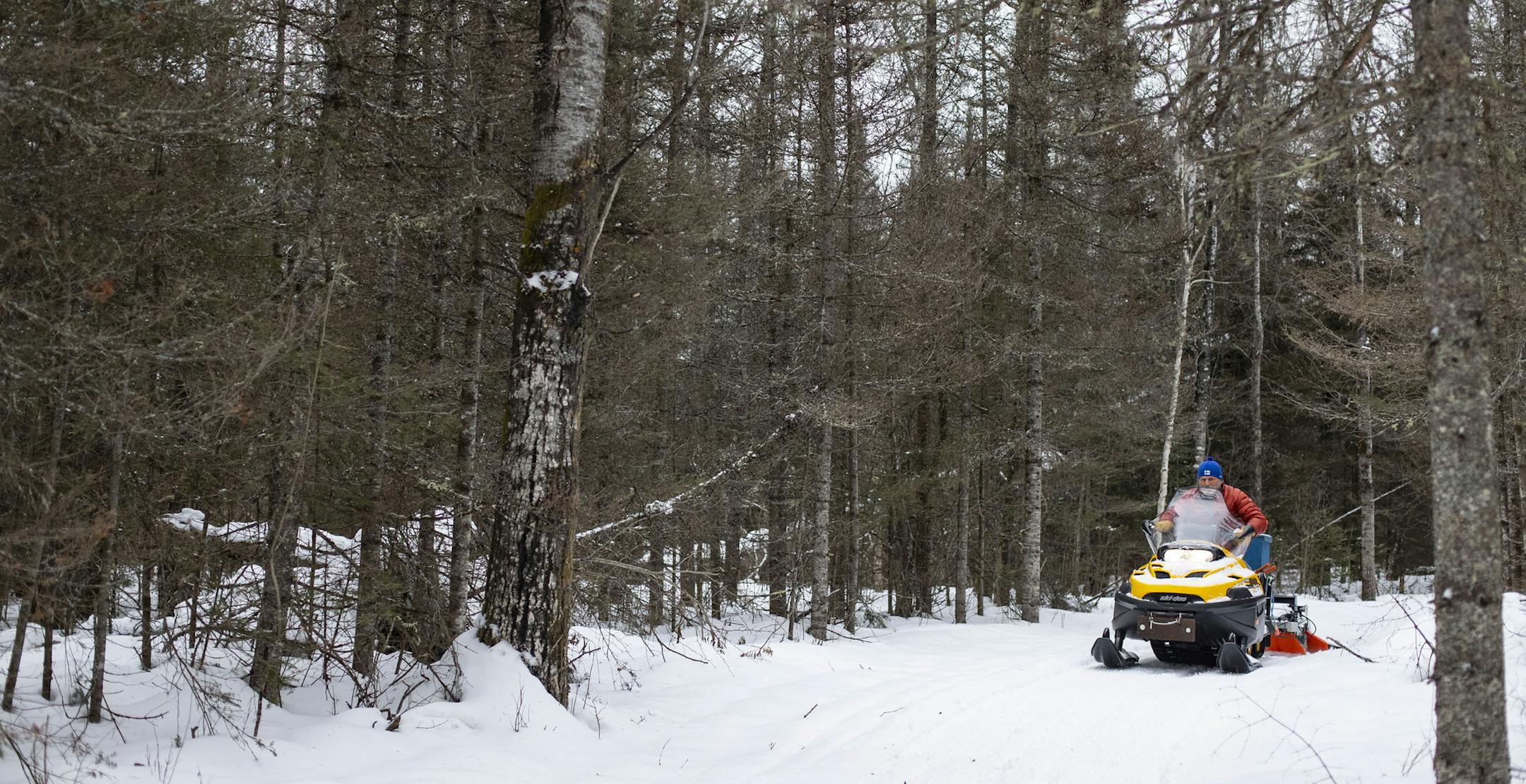 Volunteer Mark Helmer groomed ski trails from the back of his snowmobile last January at Korkki Nordic Center, between Duluth and Two Harbors. The network of trails is a hidden gem.