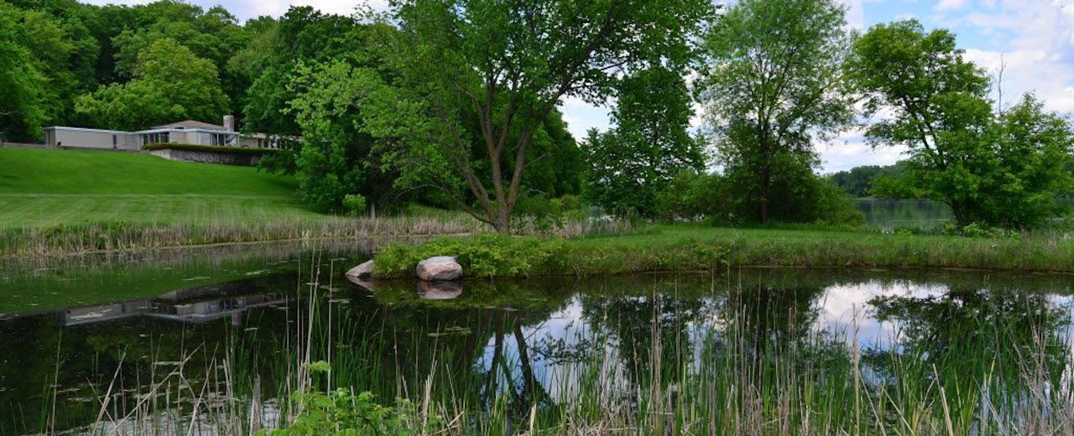 Doug Dayton restored nearly 40 acres of native prairie grasslands in the plot he bought in Orono in the 1960s.