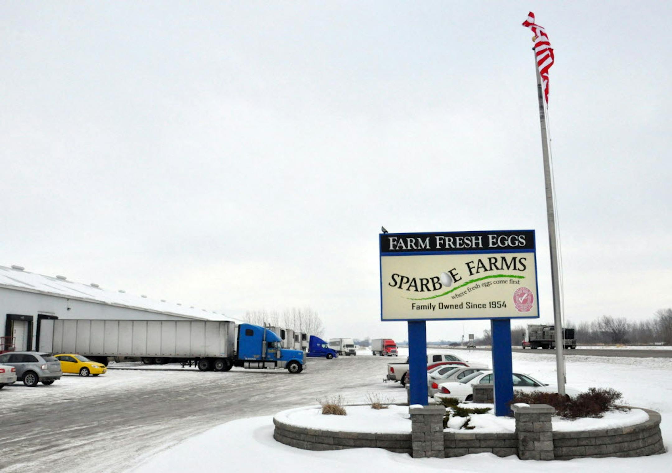 Dozens of federal homeland security agents descended on Sparboe Farms in Litchfield, Minn., on Tuesday as part of what authorities called a "larger criminal investigation," but details about the nature of the operation were not disclosed.