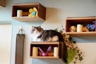 This photo provided by Tarcher Perigee shows custom-built boxes that provide both storage and vertical space for a cat in the book, "Catify to Satisfy