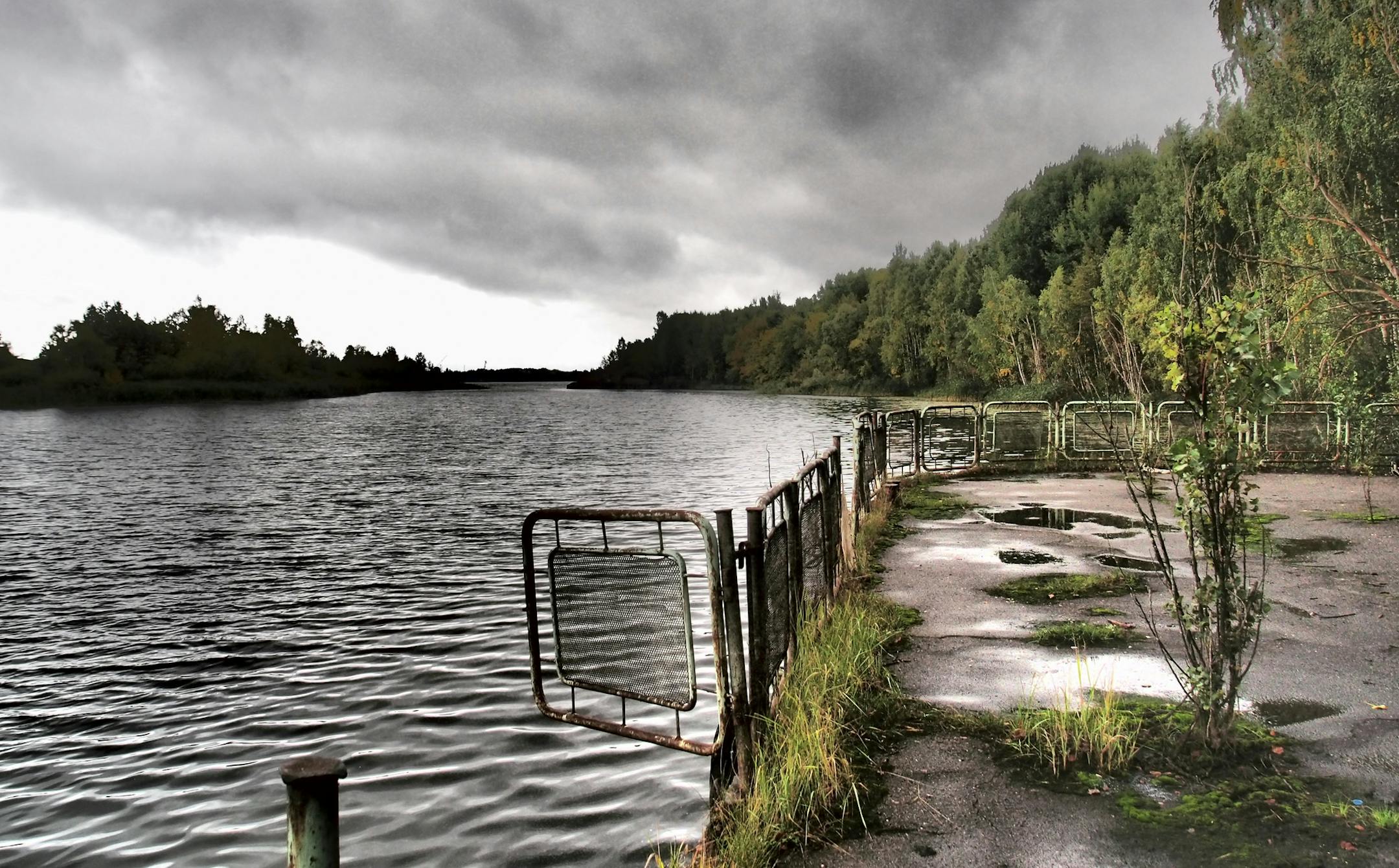 The port area in the abandoned city of Pripyat -- where 45,000 once lived -- which was completely evacuated about 36 hours after the Chernobyl nuclear disaster, in Ukraine, Sept. 19, 2013. A long-term study of the Chernobyl fallout area has found that some bird species have adapted to the radioactive environment by producing more protective antioxidants, with correspondingly less genetic damage. (Henry Fountain/The New York Times) ORG XMIT: XNYT63