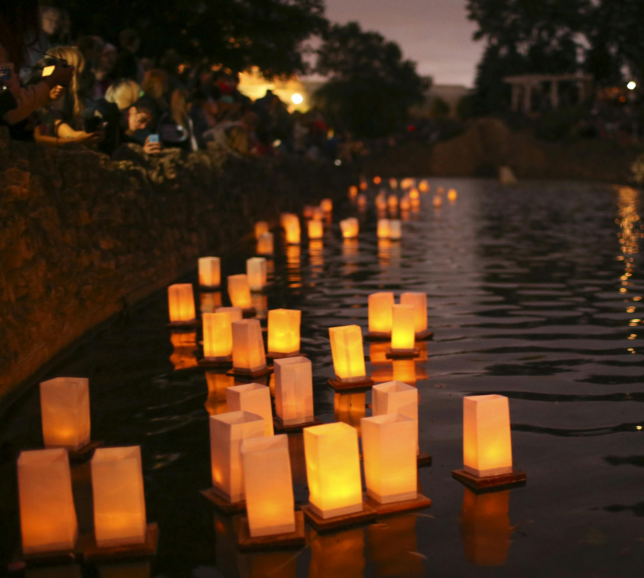Lanterns floated in the pond at Como Park at dusk Sunday night. ] JEFF WHEELER &#xef; jeff.wheeler@startribune.com The annual Japanese Lantern Lighting Festival took place before a crowd of thousands gathered at dusk around the pond near the conservatory at Como Park Sunday night, August 23, 2015.
