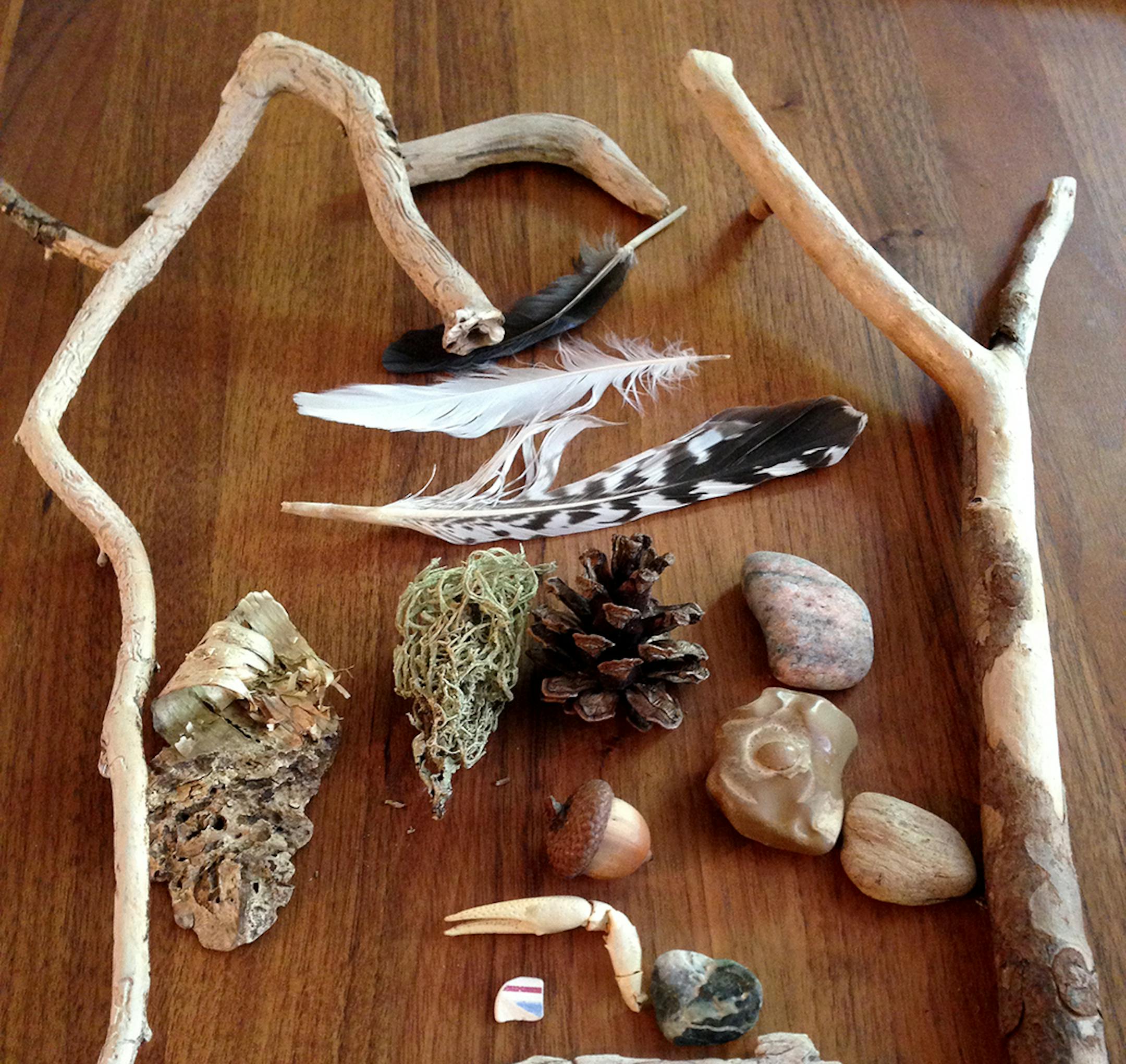 These objects of nature, found on Madeline Island, prompt memories of a cherished place.