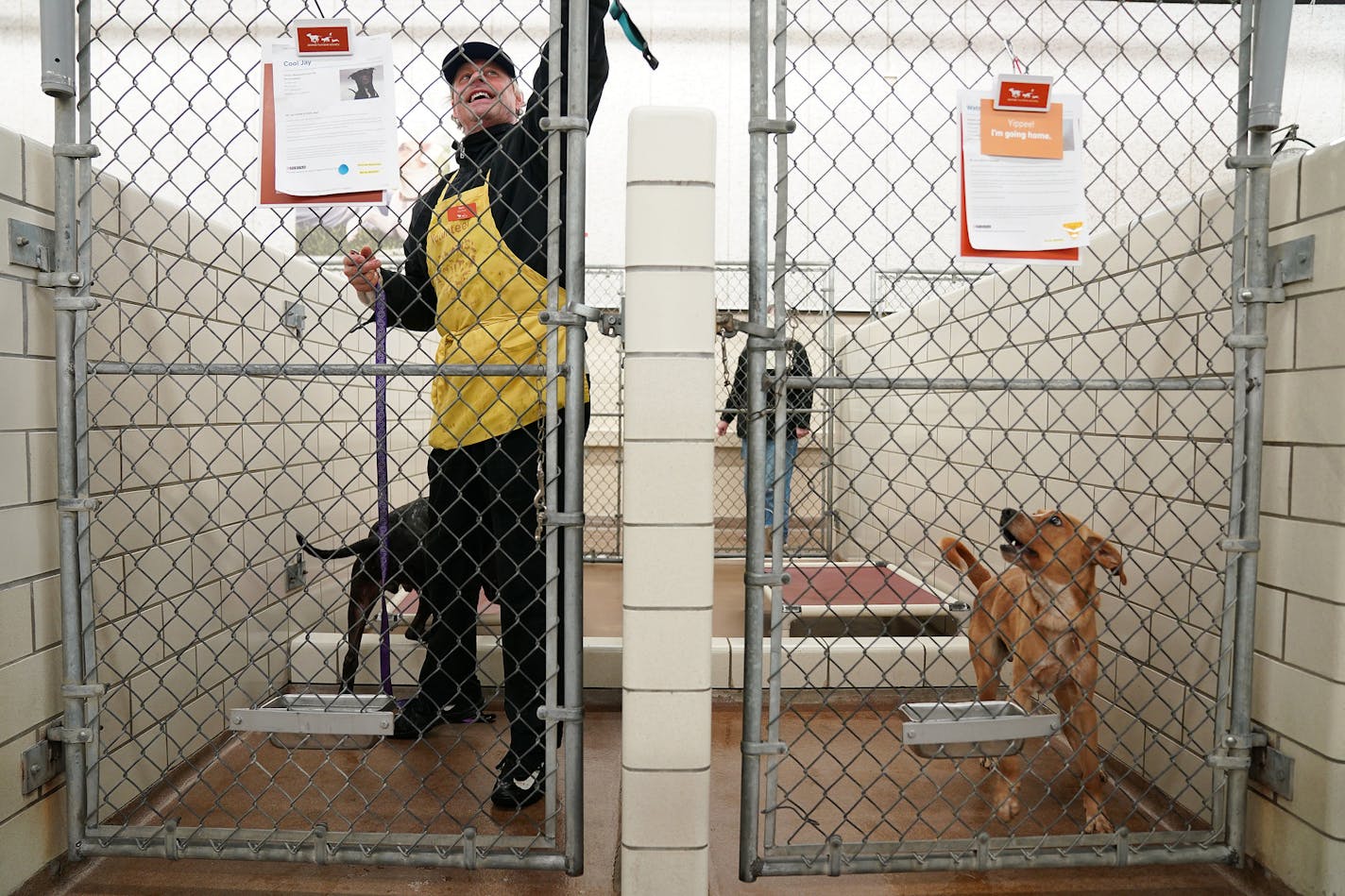 Volunteer Mark Boerger tended to Cool Jay as Watson leapt in the run beside them Thursday.