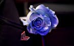 Roses with blue petals are ready to be handed out to attendees of the memorial service for Burnsville police officers Paul Elmstrand, 27, Matthew Ruge