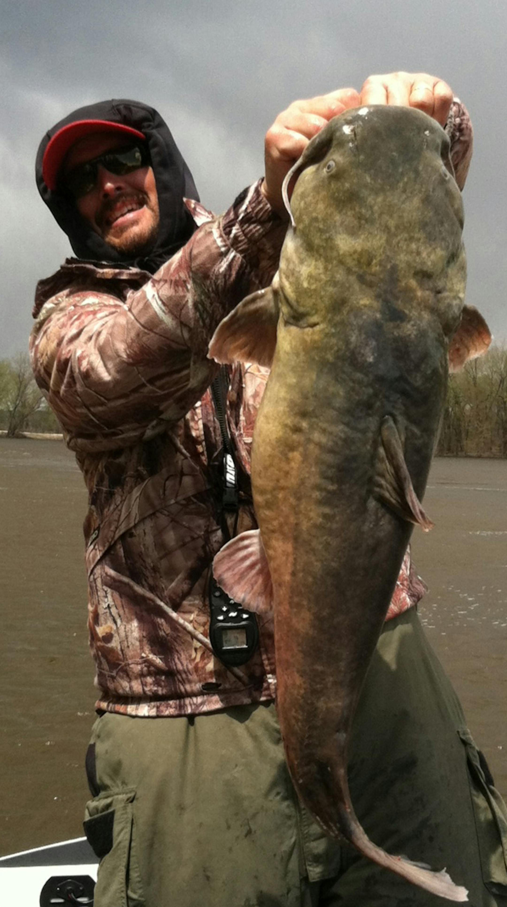 Mike Otteson of New Prague caught and released this monster 42-inch catfish on the Mississippi River near Red Wing on the fishing opener. He fought it for 25 minutes before getting it into the boat.