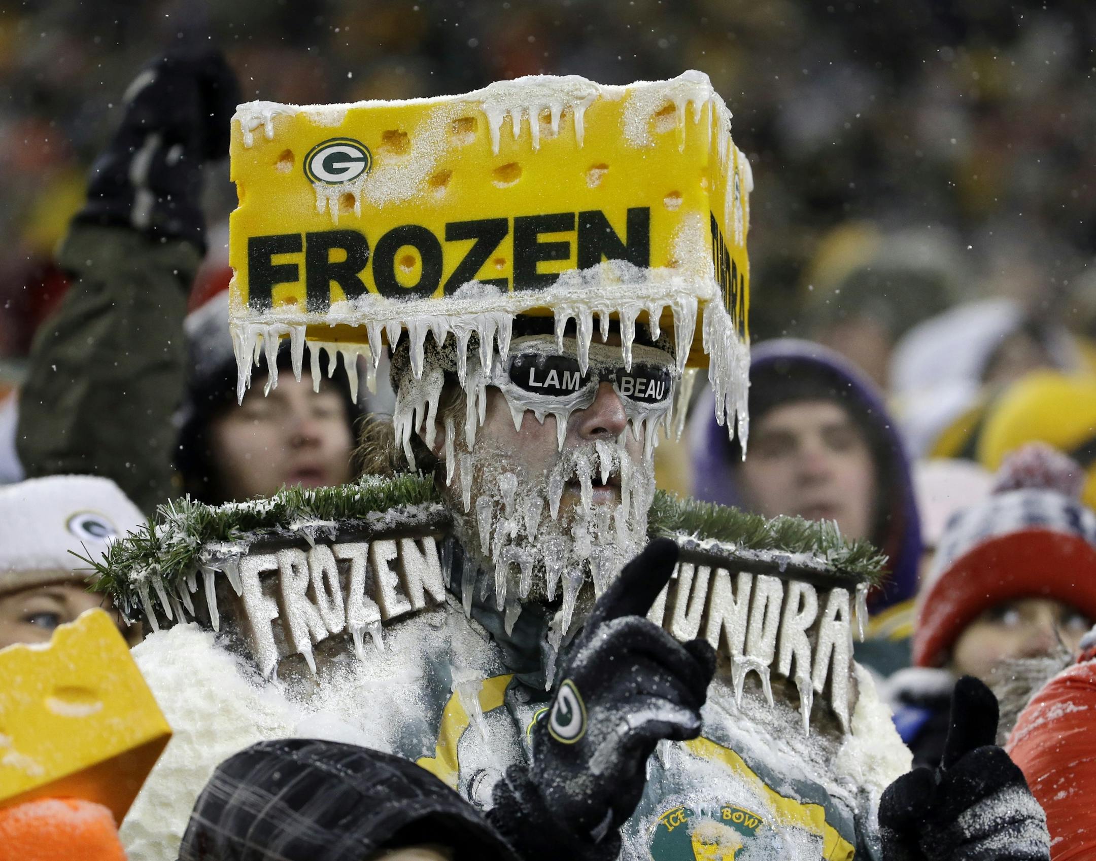 A fan during the second half of an NFL football game between the Green Bay Packers and the Pittsburgh Steelers Sunday, Dec. 22, 2013, in Green Bay, Wis. The Steelers won 38-31. (AP Photo/Morry Gash)