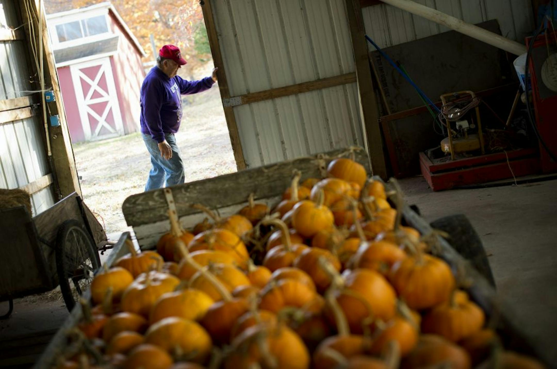 Sharon and Tom Pogreba run the Hugo Animal Farm and each year host visiting groups to pick their own pumpkins. They are open weekends from 1 to 5 p.m. through the end of October. Tuesday, October 16, 2012