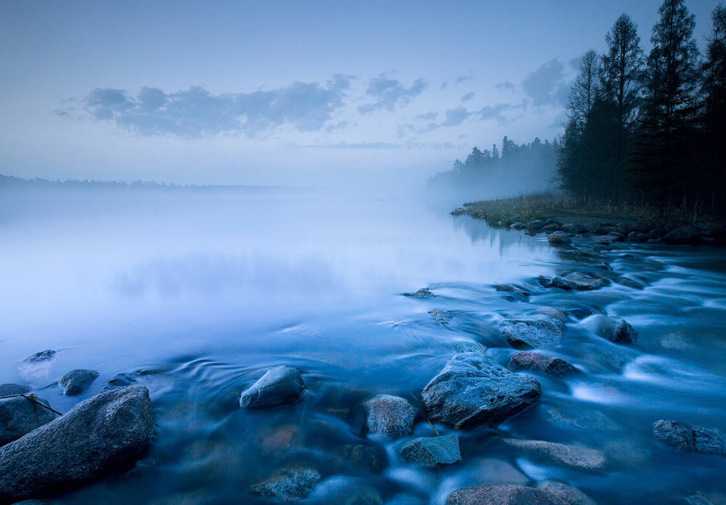 As dawn breaks in Itasca State Park, blue light bathes the Mississippi River headwaters as it begins it's journey to the Gulf of Mexico.] BRIAN PETERSON &#x2022; brian.peterson@startribune.com Itasca State Park, MN 08/18/14 ORG XMIT: MIN1408181218517257 ORG XMIT: MIN1408310914570832 ORG XMIT: MIN1409121847290692 ORG XMIT: MIN1503061402480754