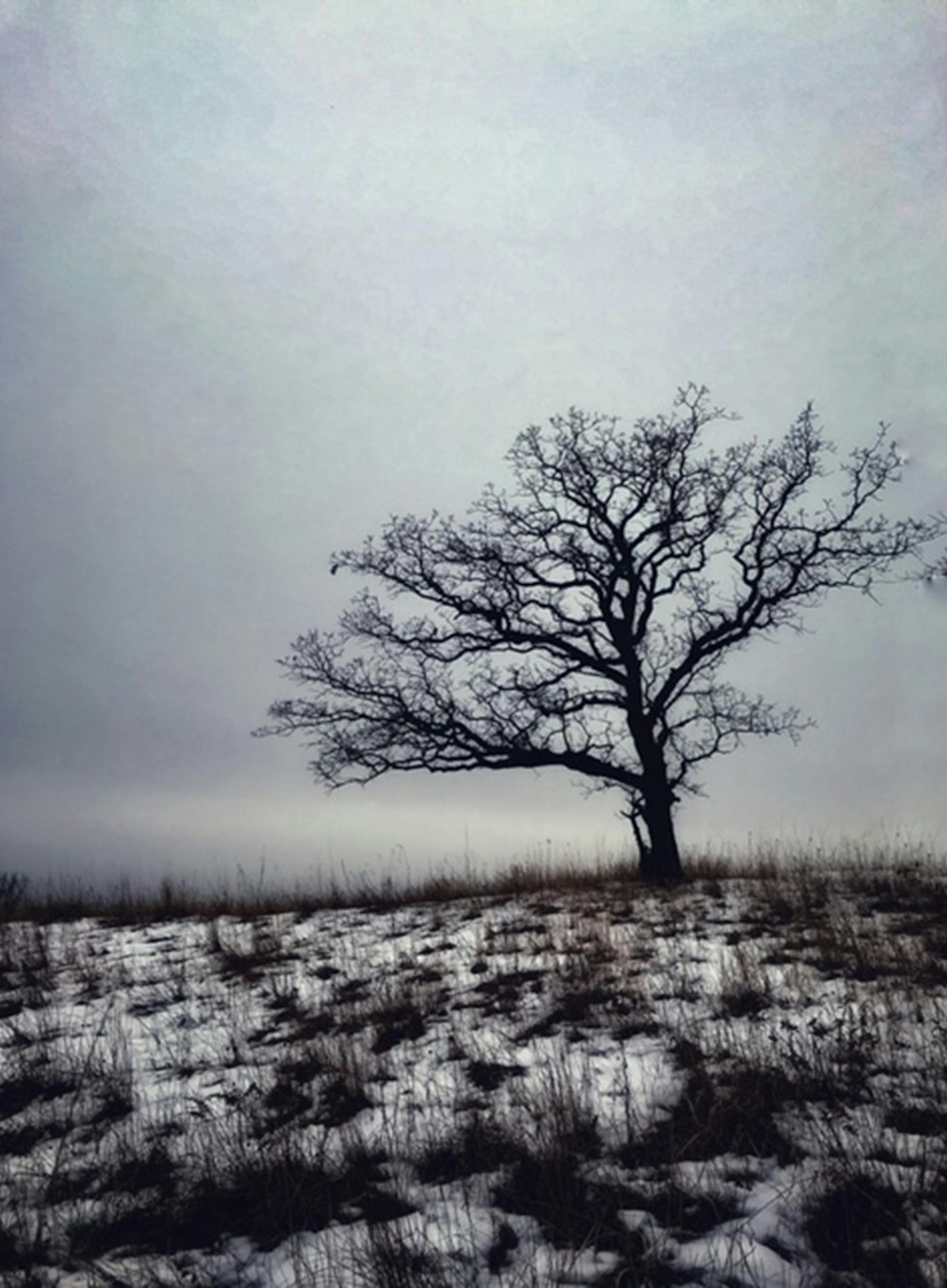 Marta Spencer
Brooklyn Park, MN 55445