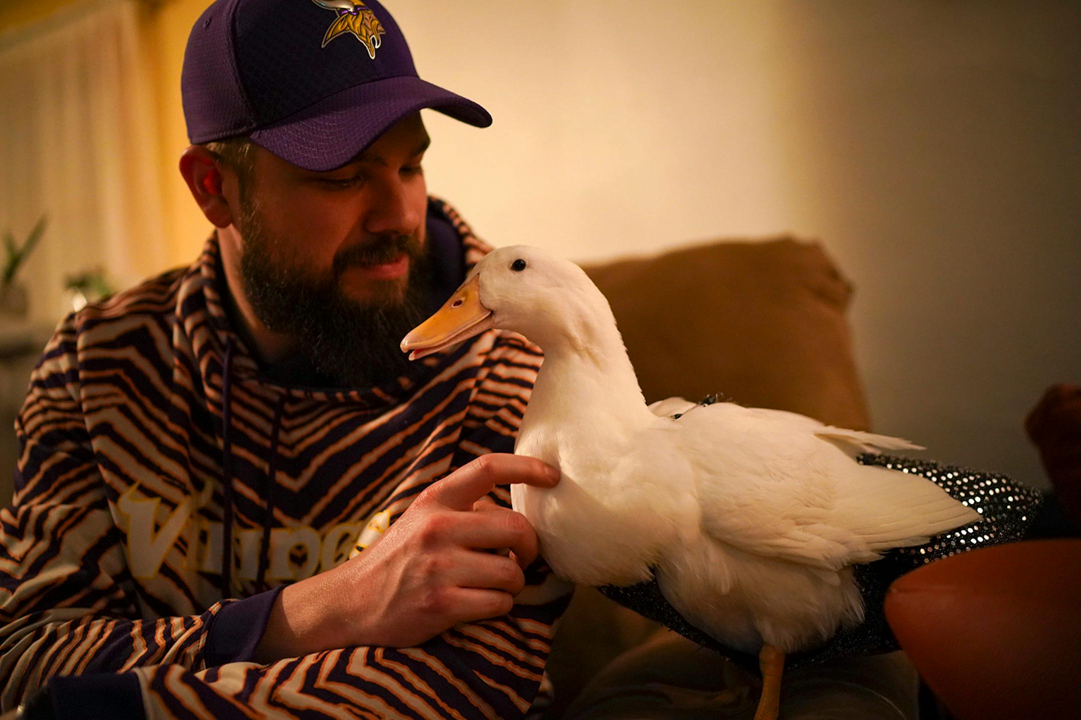 Derek Johnson pet his pet duck, Ben Afquack, while watching the Super Bowl with friends Sunday night.