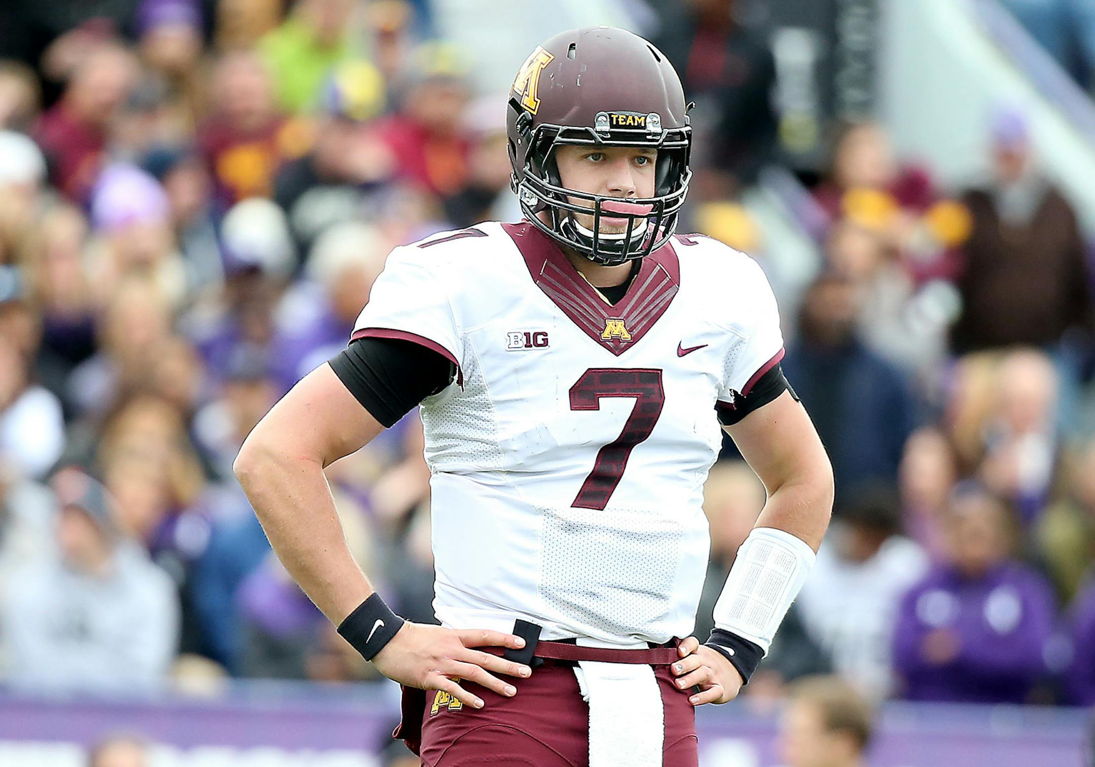 Minnesota's quarterback Mitch Leidner looked to the sideline for guidance in the third quarter as Minnesota took on the Northwestern Wildcats at Ryan Field, Saturday, October 3, 2015 in Evanston, IL.