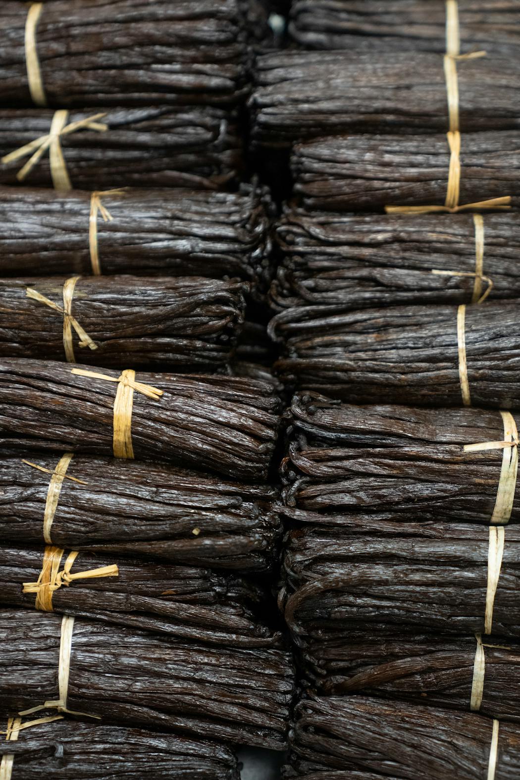 Bundles of raw vanilla beans at Vanilla Bean Project in Lakeland, which produces regenerative organic certified vanilla extract.