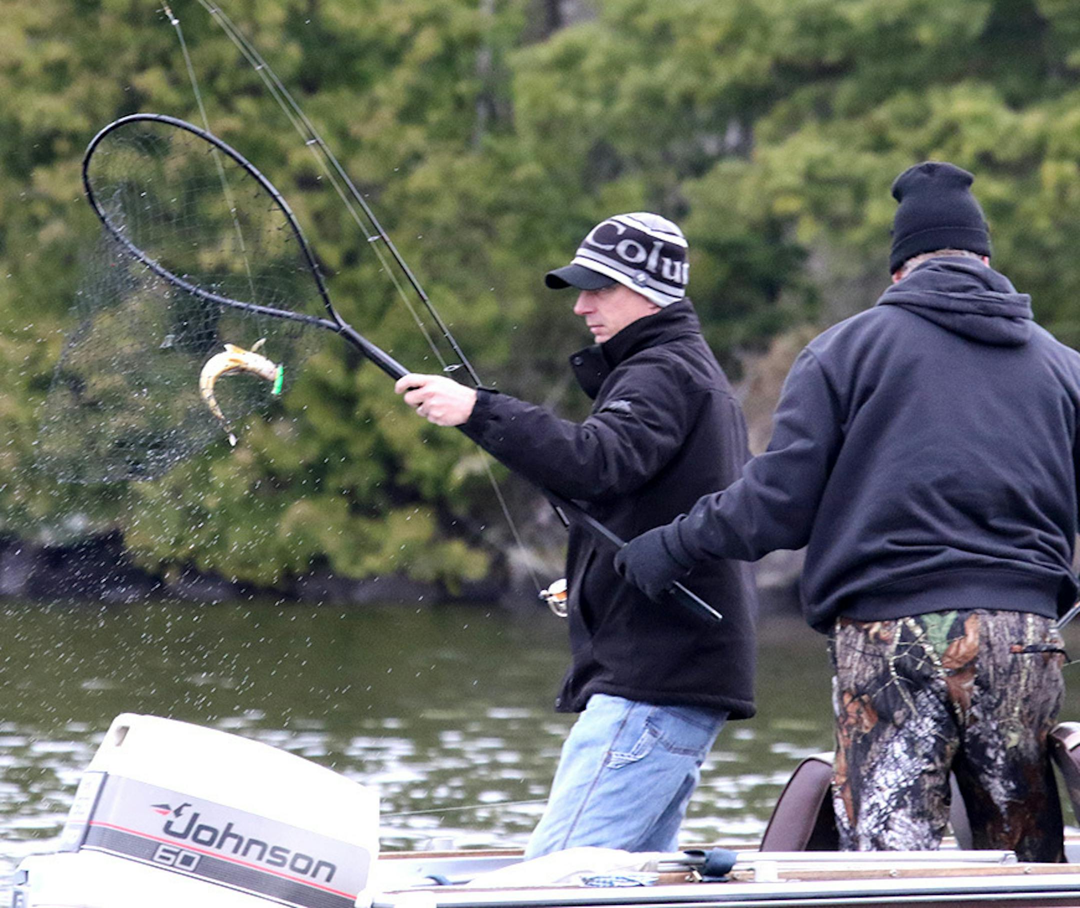 An angler on Lake Vermilion's Pike Bay nets a walleye early Saturday morning during the 2017 state fishing opener