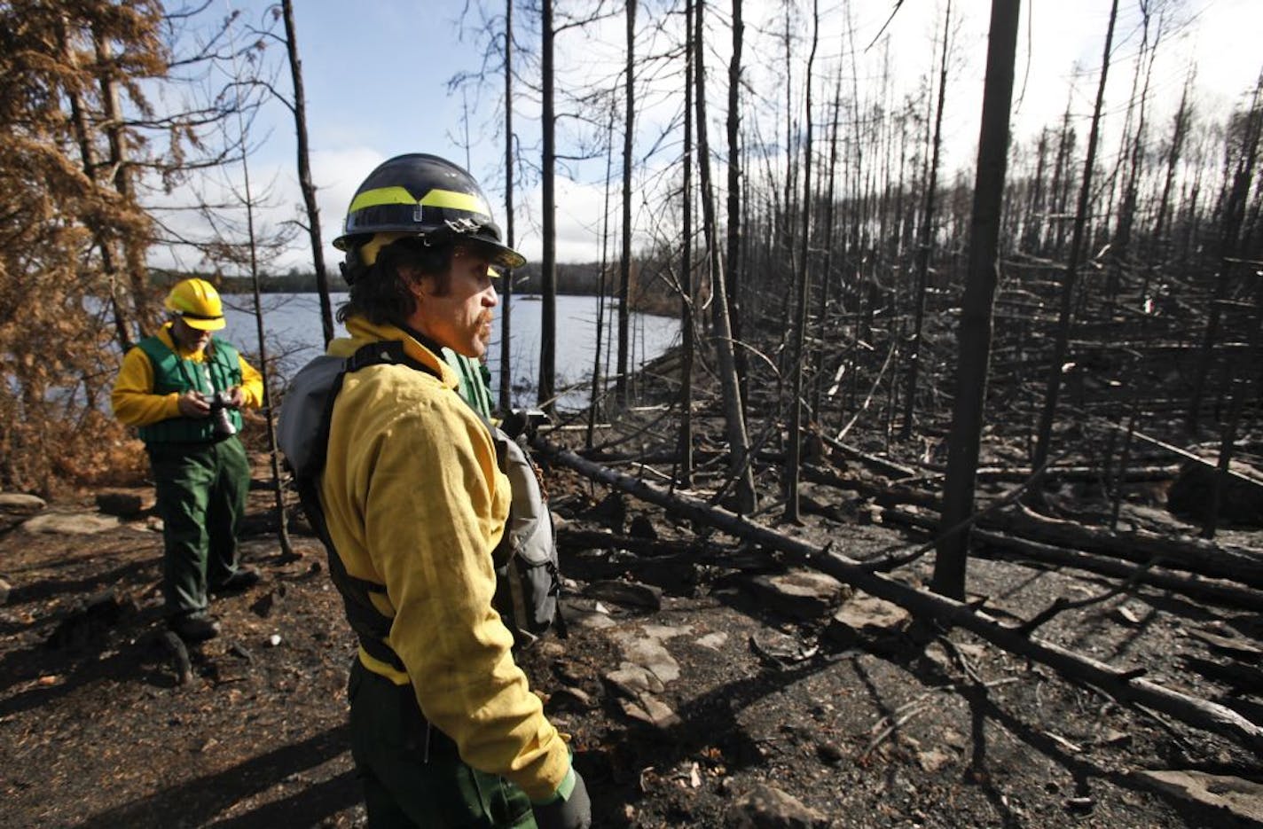 Carl Skustad of the U.S. Forest Service surveyed the fire damage near campsite 7 on Lake Three, charred by the Pagami Creek fire. in the BWCA.