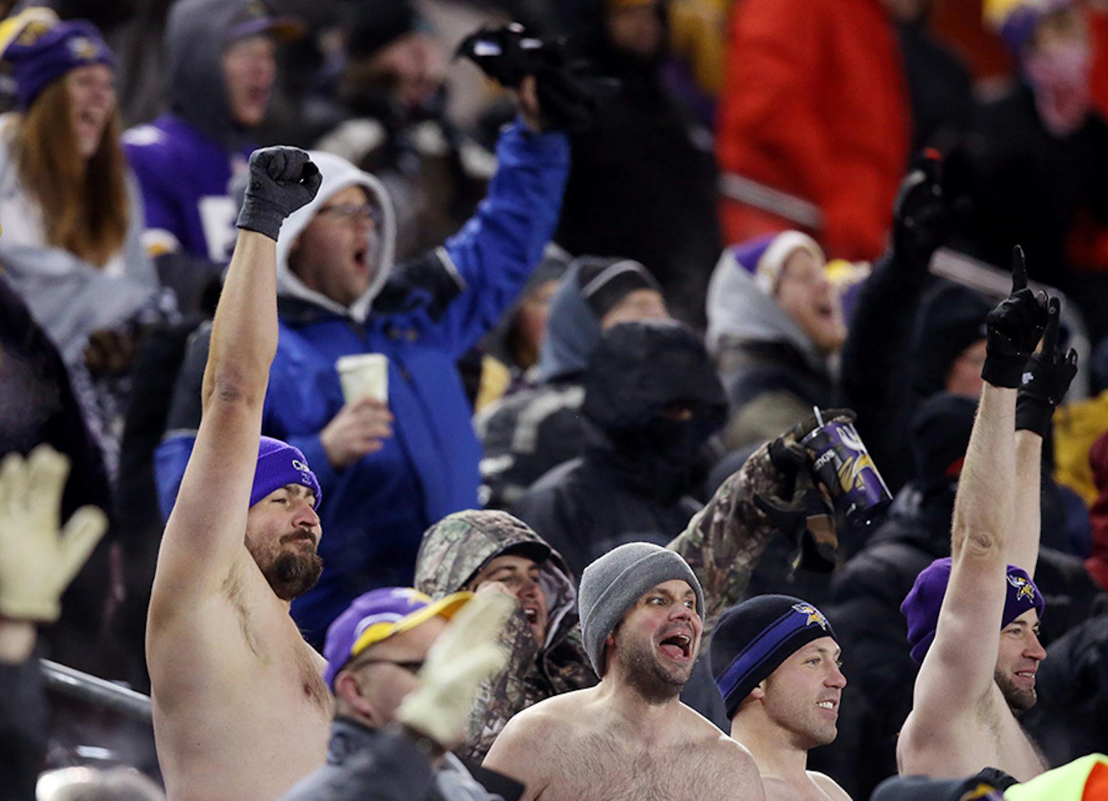 Shirtless Vikings fans cheered in the forth quarter Sunday December 27, 2015 in Minneapolis, MN.