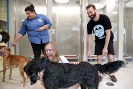 Anna Buck and Mike Schmidt of Minneapolis played with Wicket in the Animal Human Society's newly designed "habitat" for dogs.