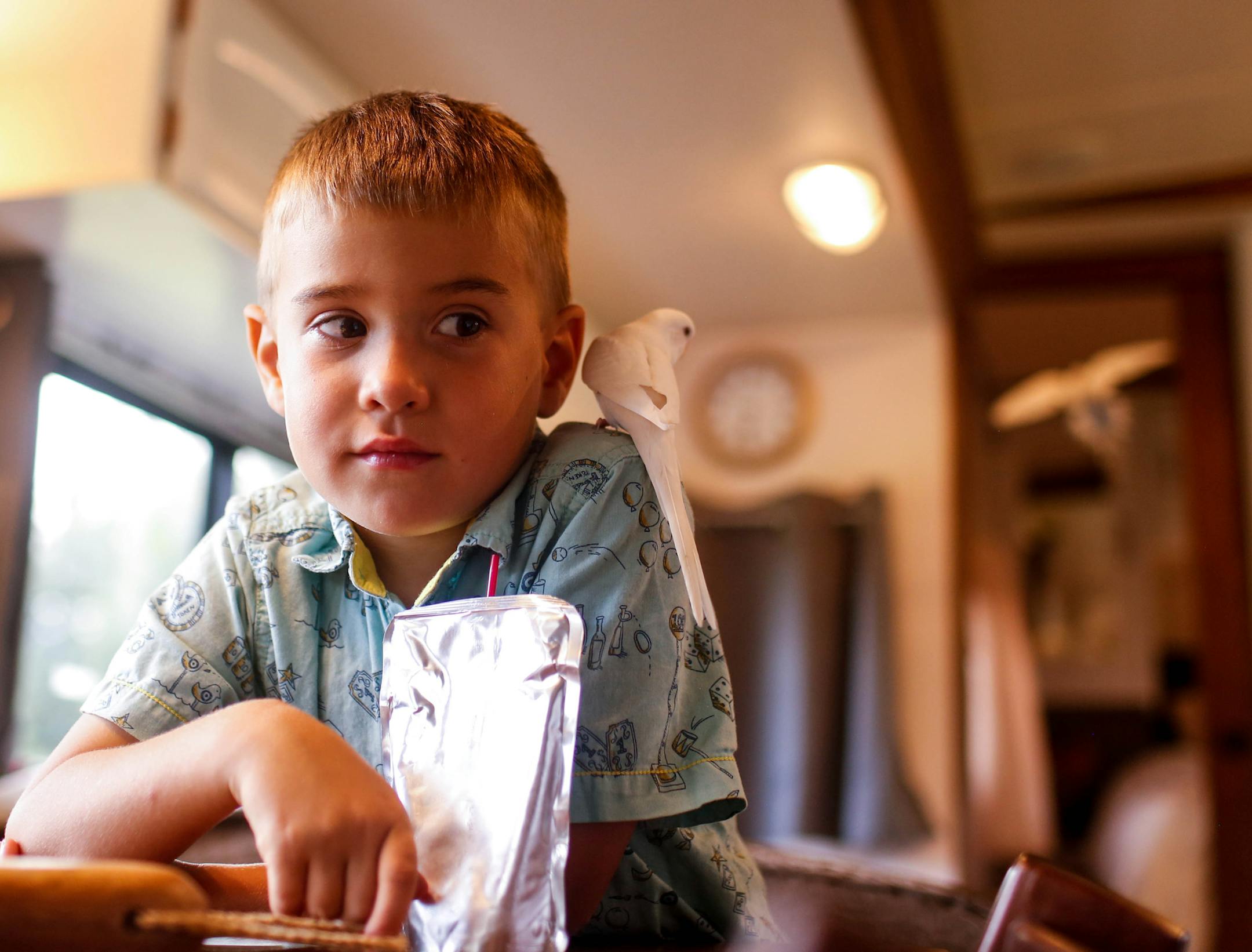 Inside the Enloe family's RV, 5-year-old Danny drank a juice box while pet parakeet Mr. Uccello sat on his shoulder.