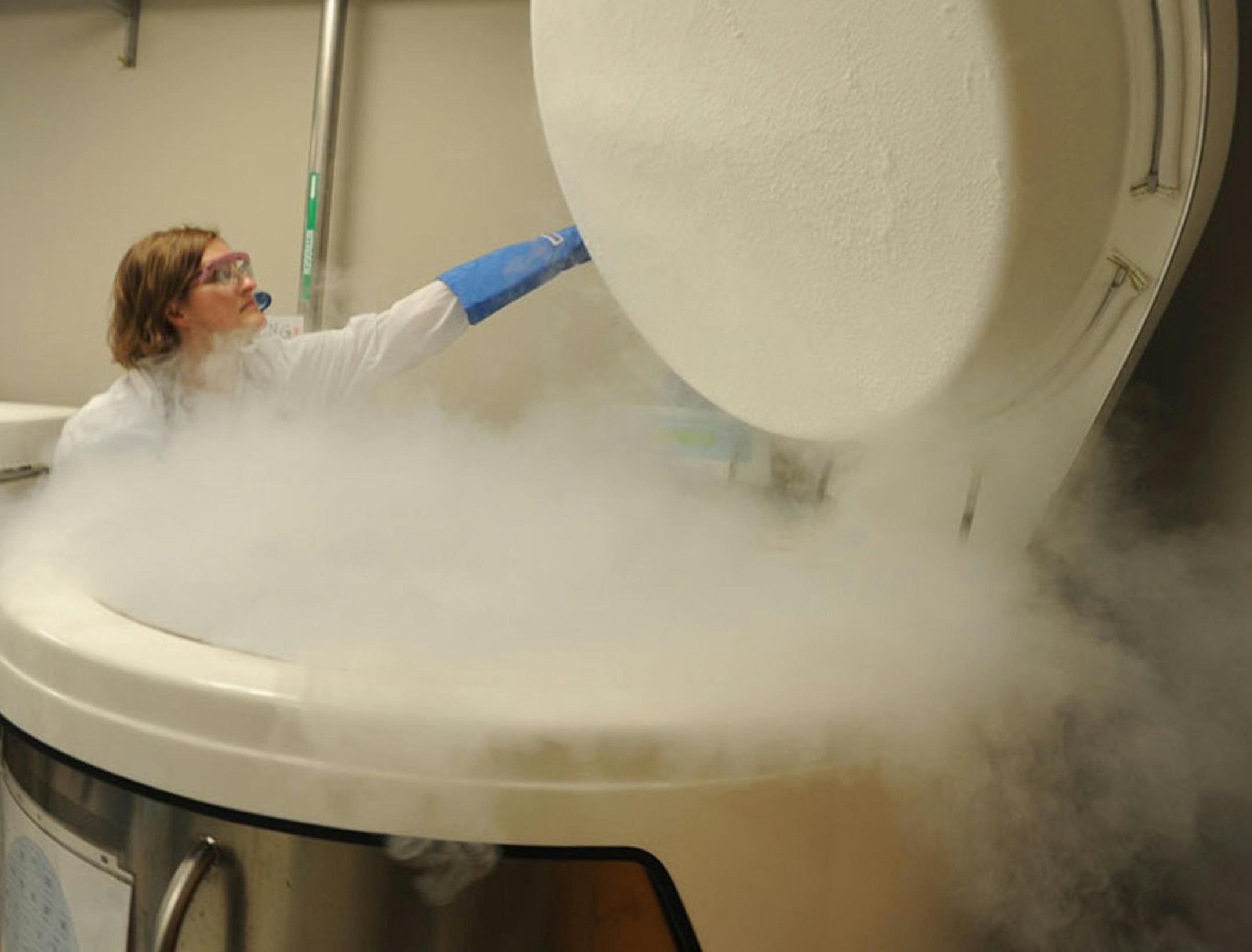 The first clinical trial in the United States using stem cells to treat congenital heart disease in newborns will soon be under way at the Mayo Clinic in Rochester. Darcie Radel a technologist at the Human Cell Therapy Laboratory at the Mayo Clinic removed a tray of cryovials of umbilical cord blood mononuclear cells which are being used in a heart study. ] Richard.Sennott@startribune.com Richard Sennott/Star Tribune. , Minneapolis, Minnesota Wednesday 6/5/13) ** (cq)