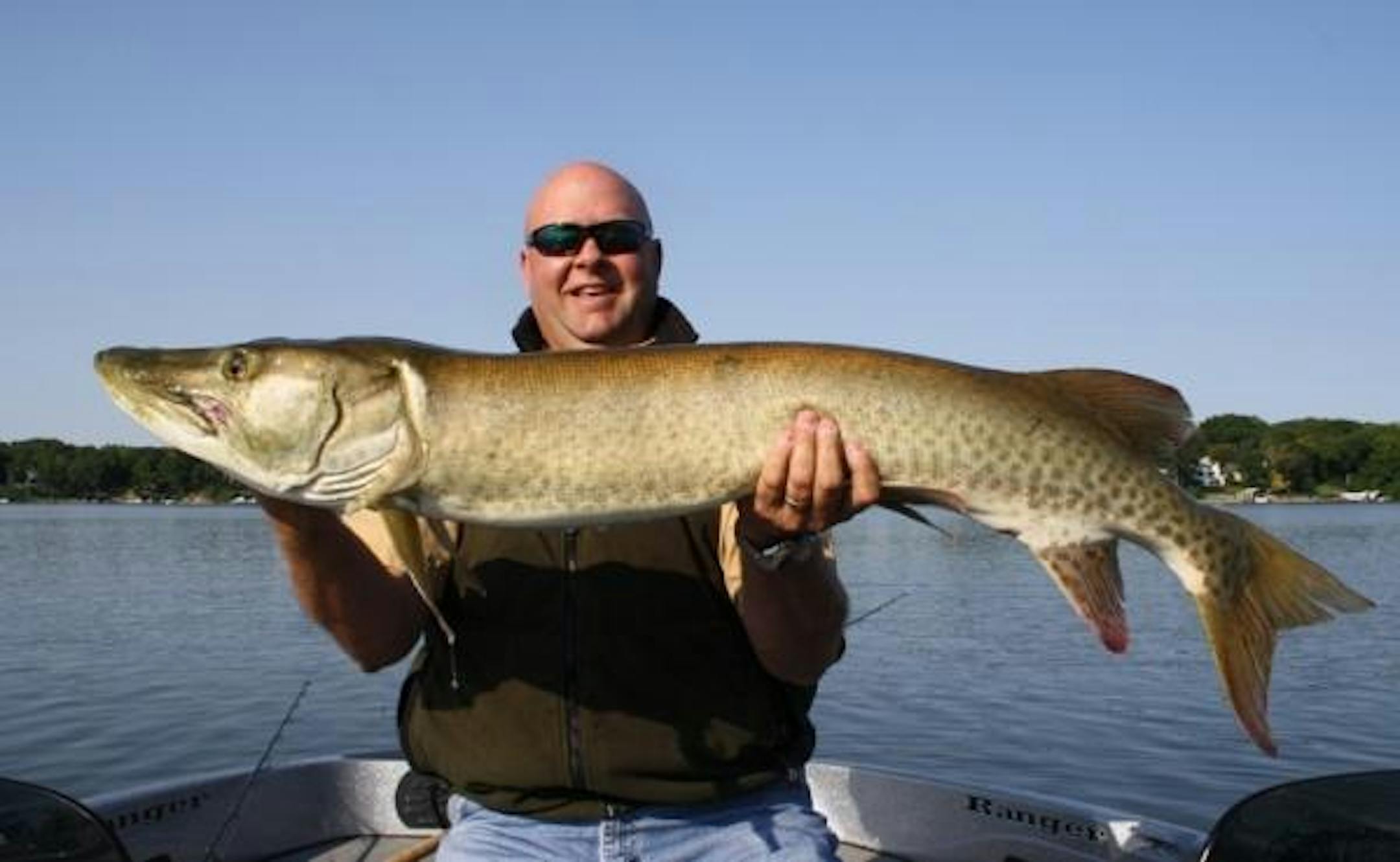 Tom Doyle landed this 51-inch muskie on a topwater lure while fishing with Travis Frank on Sept 1.