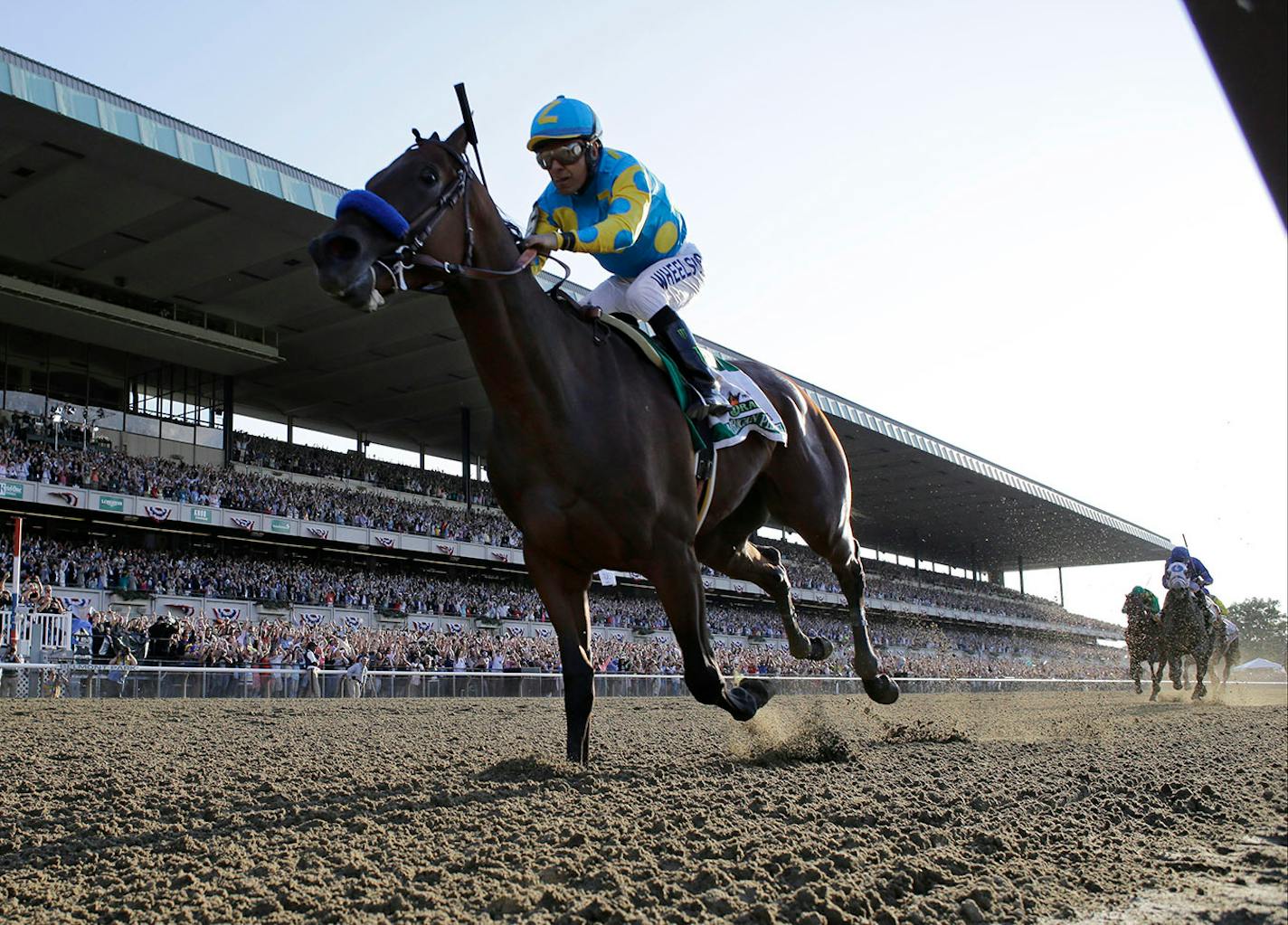 American Pharoah wins the Belmont Stakes on Saturday, June 6, to complete the Triple Crown.