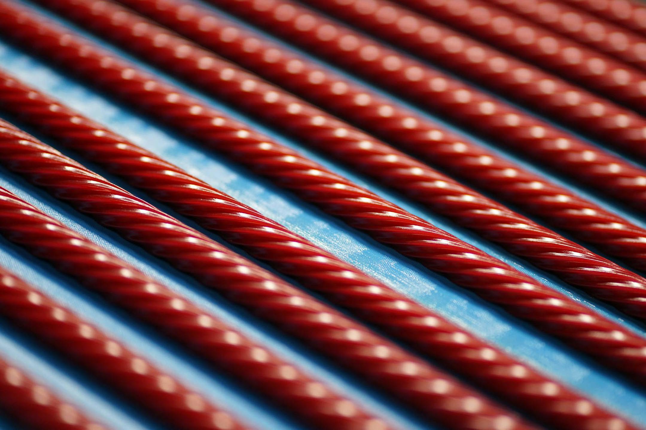 Ropes of Wiley Wallaby Licorice move on a conveyor for packaging at Kenny's Candy.