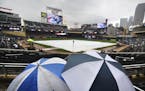 A couple of hardy fans wait out a rain delay under umbrellas before a baseball game between the Minnesota Twins and Chicago White Sox, Thursday, June 