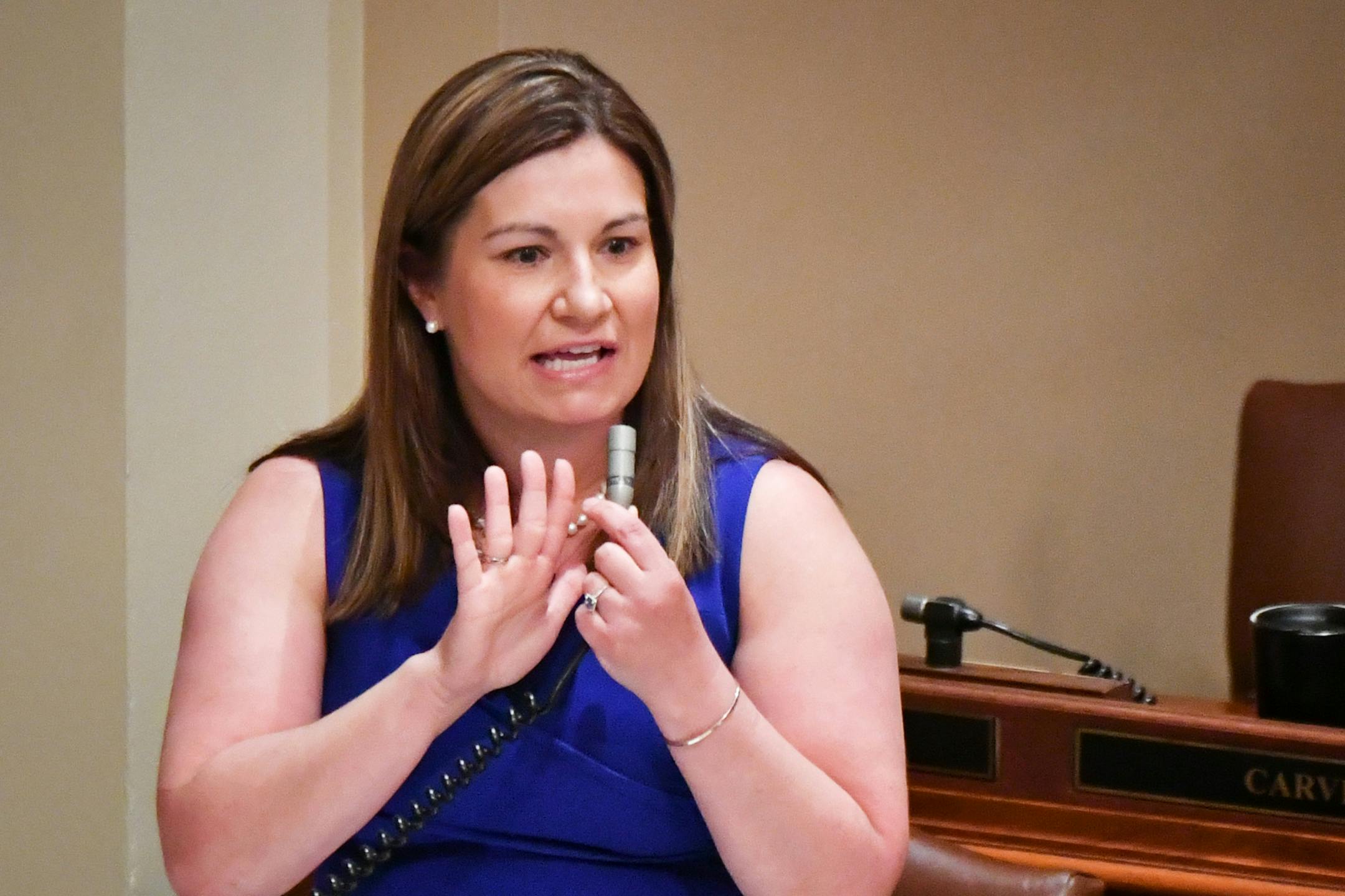 Representative Mary Franson, R-Alexandria, spoke on the House floor in 2017.