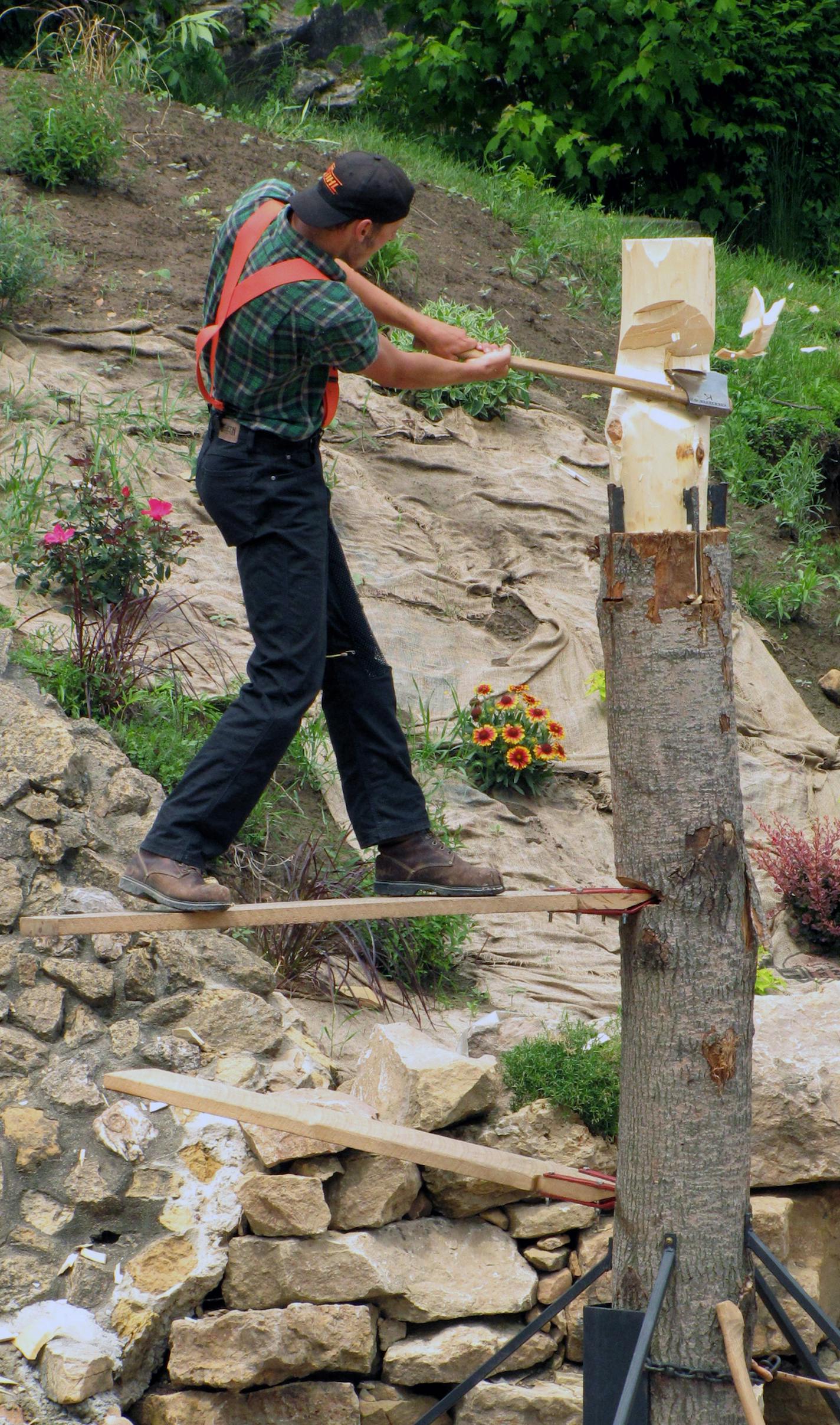 Traditional lumberjack skills are on display at Paul Bunyan&#x201a;&#xc4;&#xf4;s Northwoods Lumberjack Show, a new attraction this year in Wisconsin Dells, Wis Melanie Radzicki McManus;