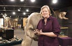 Jennifer Menken is in charge of both the live animals and the not-so-live animals at the Bell Museum of Natural History. Provided photo