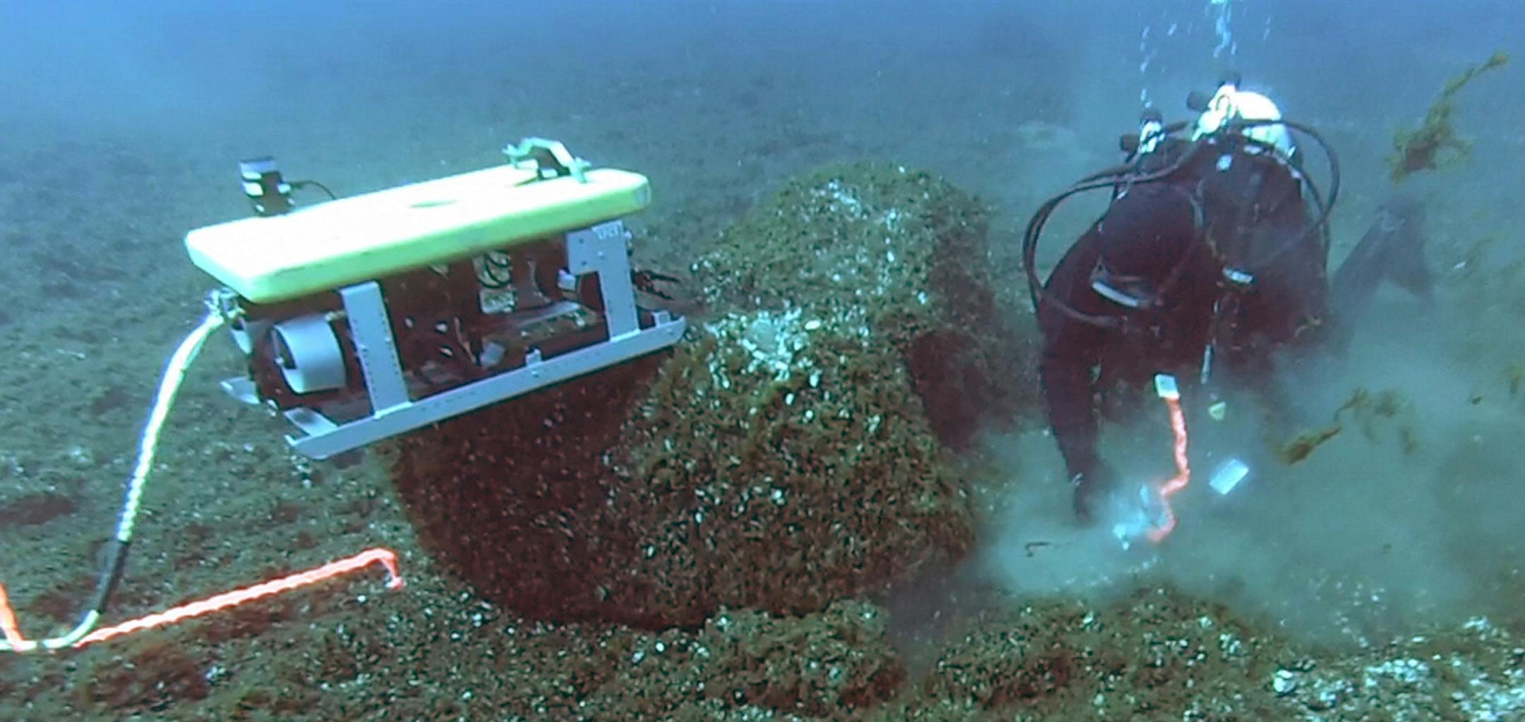 In this undated photo provided by the University of Michigan, a diver swims in Lake Huron. Scientists say theyíve found evidence of prehistoric caribou hunts on the floor of Lake Huron that illustrates the sophistication of ancient peoples whose survival depended on understanding the habits of their prey. An article released Monday, April 28, 2014 in the Proceedings of the National Academy of Sciences describes what underwater archaeologists say was a ìdrive laneî where earlier ci
