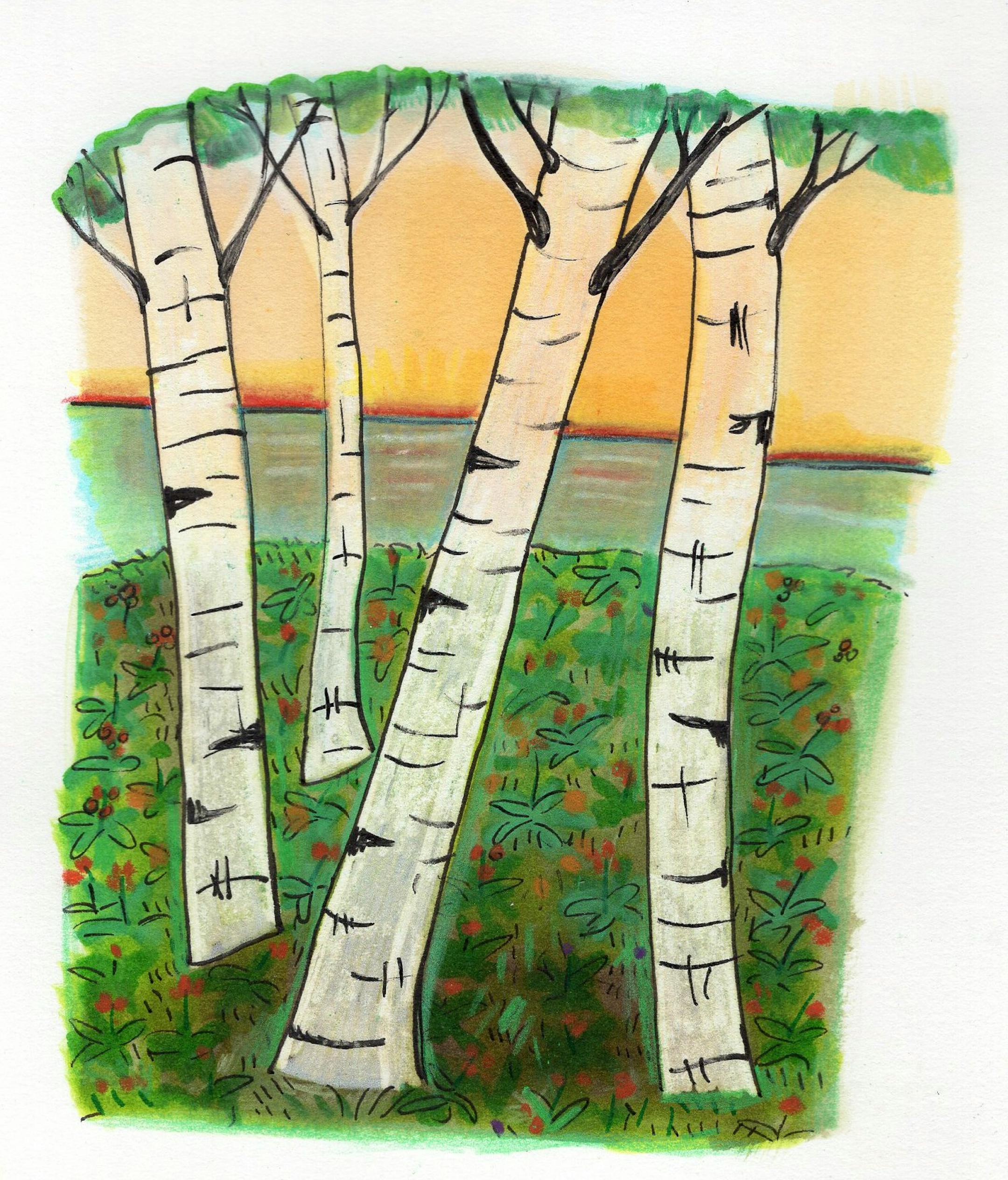 A digital "Doodle a Day" by Nancy Carlson.