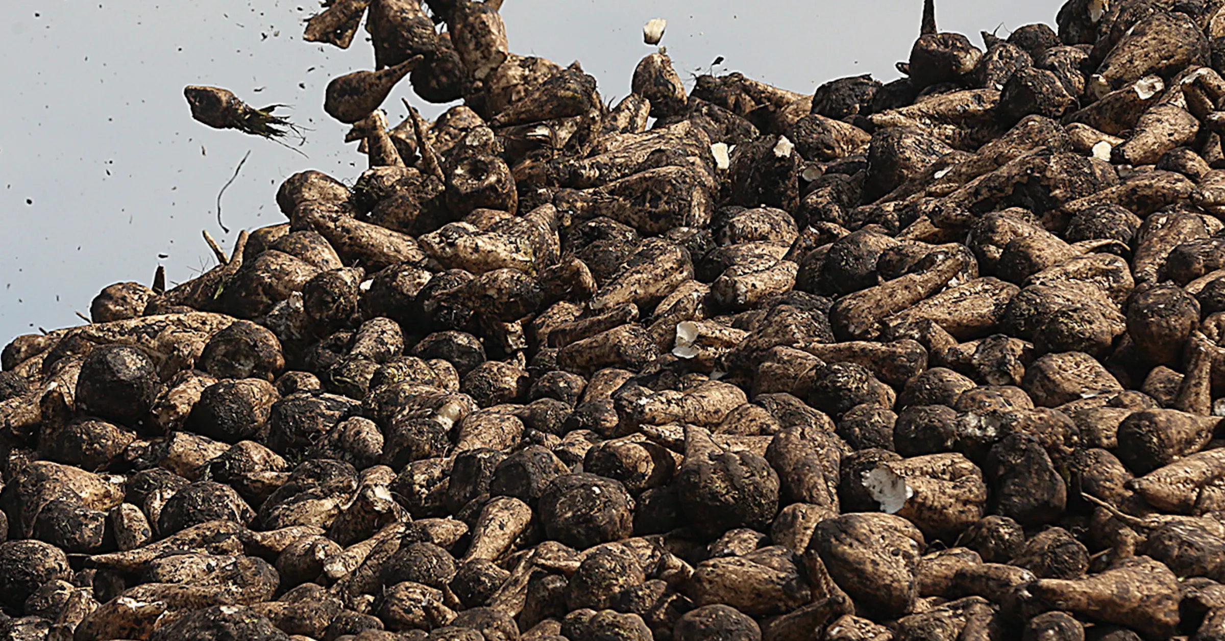 General Mills joins companies suing Minnesota’s sugar industry over ...