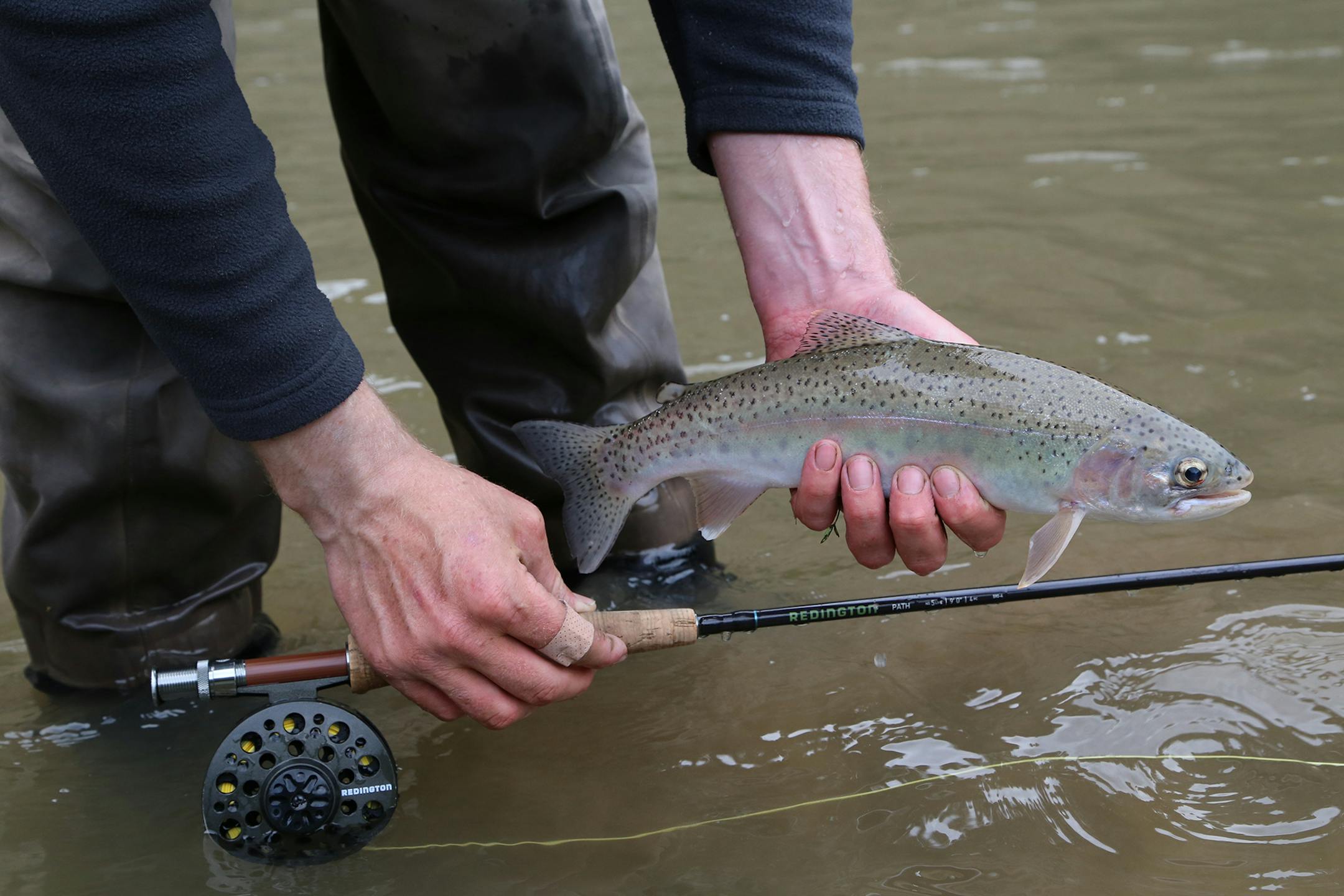Citing local opposition, a state agency has backed away from its practice of stocking rainbow trout in a Washington County lake.