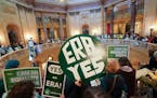 Advocates for the Equal Rights Amendment, ERA, have been pushing for decades to enshrine protections based on gender into the state's Constitution.