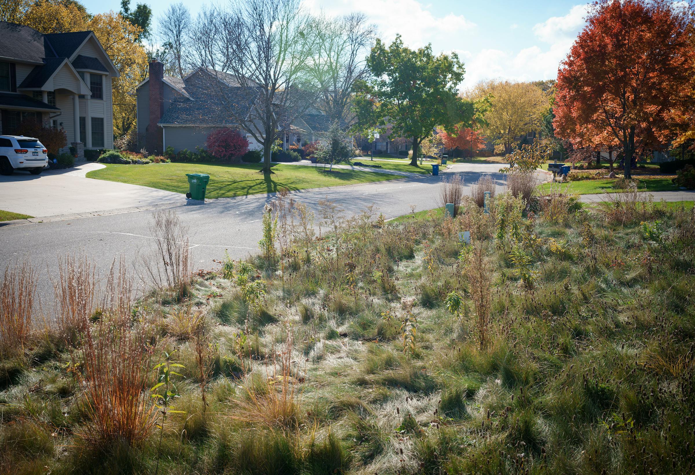 As no-mow lawn dispute shows, conservation begins at home