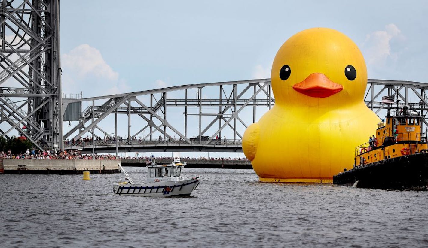 A very large crowd was on hand at the start of Tall Ships�Duluth 2016 which featured the world's largest rubber duck at 61 feet tall, about the height of a six-story building, and weighing in at 11 tons, equaling roughly 3,000 real ducks. The rubber duck was seen near the Aerial Lift BridgeThursday, Aug. 18, 2016, in Duluth, MN.