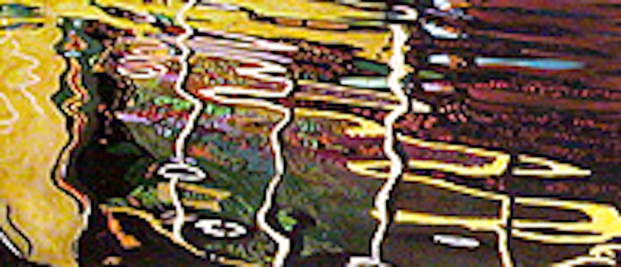 Detail of "Double Reflection: Weeder, 2007" by Tiit Raid