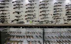 This year is likely to be another big year for firearms laws in the states. (David Maialetti/Philadelphia Inquirer/TNS)