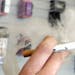 FILE - A sales associate demonstrates the use of a electronic cigarette and the smoke like vapor that comes from it in Aurora, Colo. on Wednesday, Mar