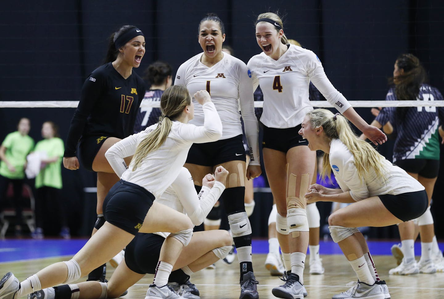 Members of the Minnesota team celebrate as they clinch the win over Hawaii Saturday, Dec. 12, 2015, during the NCAA Division I Women's Volleyball Championship in Des Moines. (The Des Moines Register, Michael Zamora/The Des Moines Register via AP)