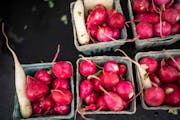 Radishes are among the cheery signs of spring.