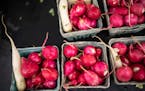 Radishes are among the cheery signs of spring.