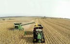 With cart in tow, the tractor autonomously navigates to a path beside the combine to allow for continuous loading.