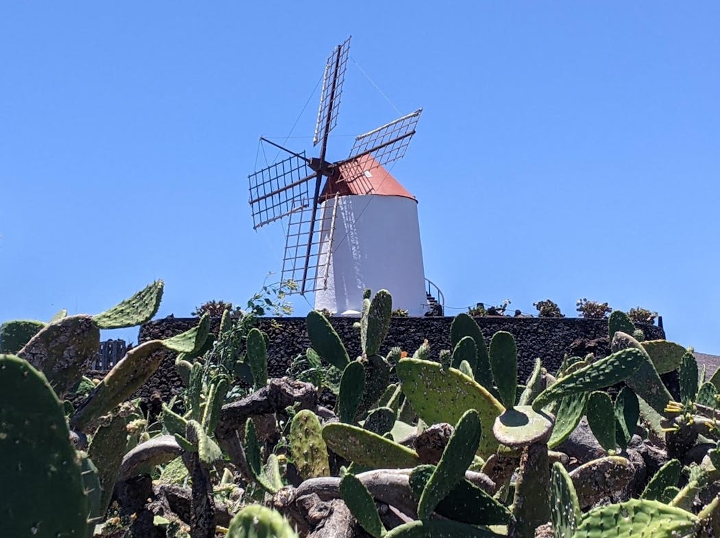 A historic windmill overlooks a field of cacti outside the Jardin de Cactus park on Lanzarote, Canary Islands.