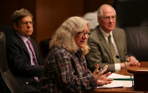 Sue Abderholden answers questions from legislators during a hearing in the State Office Building in St. Paul on Feb. 12, 2013.