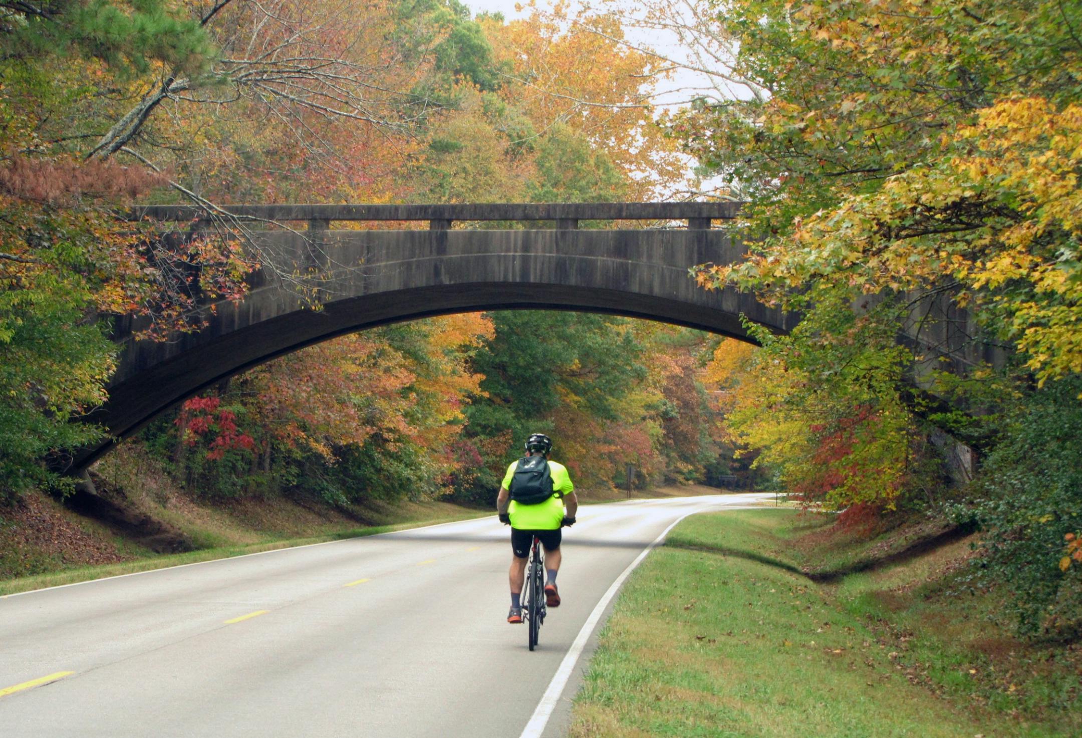 These are all my husband, Ed, biking along various stretches of the Trace. If you need to have some idea where we were (the state, for example), I'd have to get back home and look at my notes.