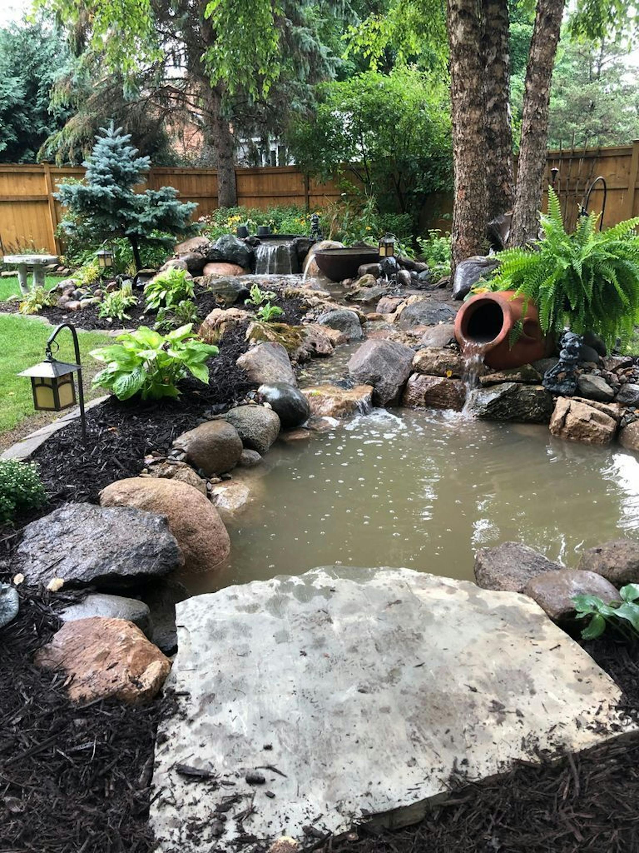 An ecosystem pond in a Minneapolis yard is one of 11 sites on the Water Garden Tour, July 27-28.