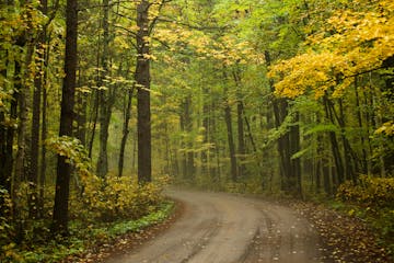 Northern Minnesota is the first to turn each fall and the mix of colors make for a spectacular show. The aspen, pine, maple and birch create a kaleido